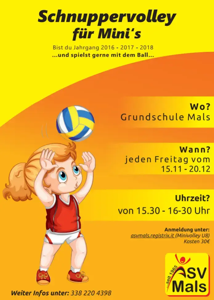 schnuppervolley