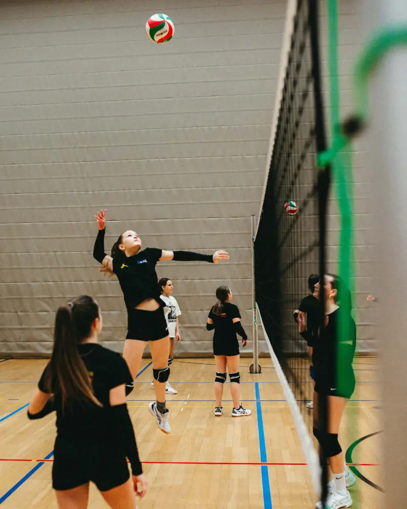 volleyball
