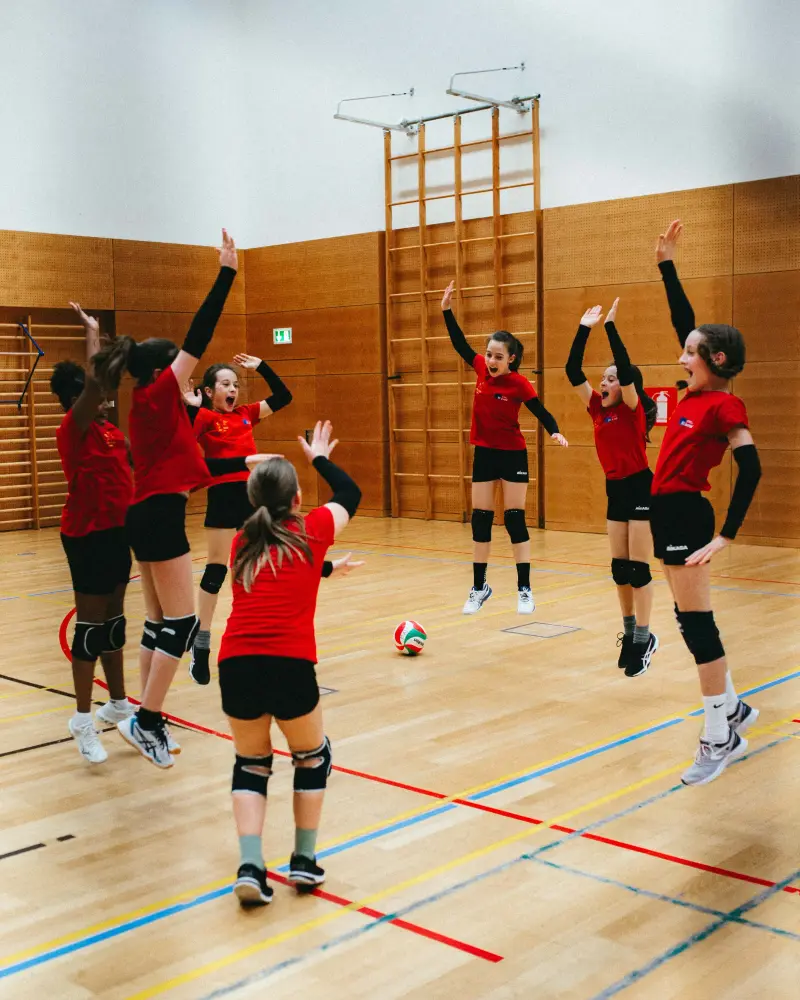volleyball
