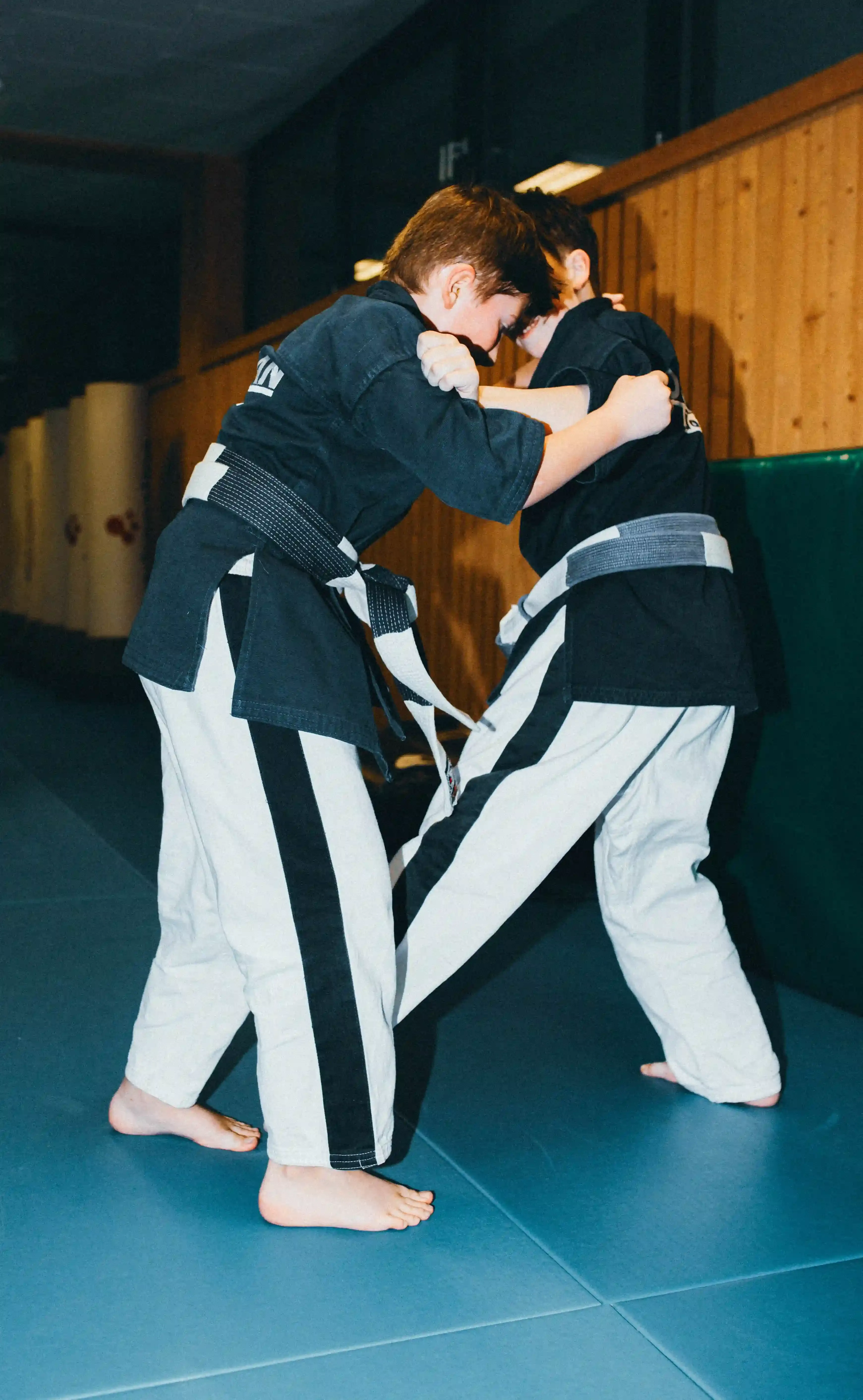 Yoseikan Budo