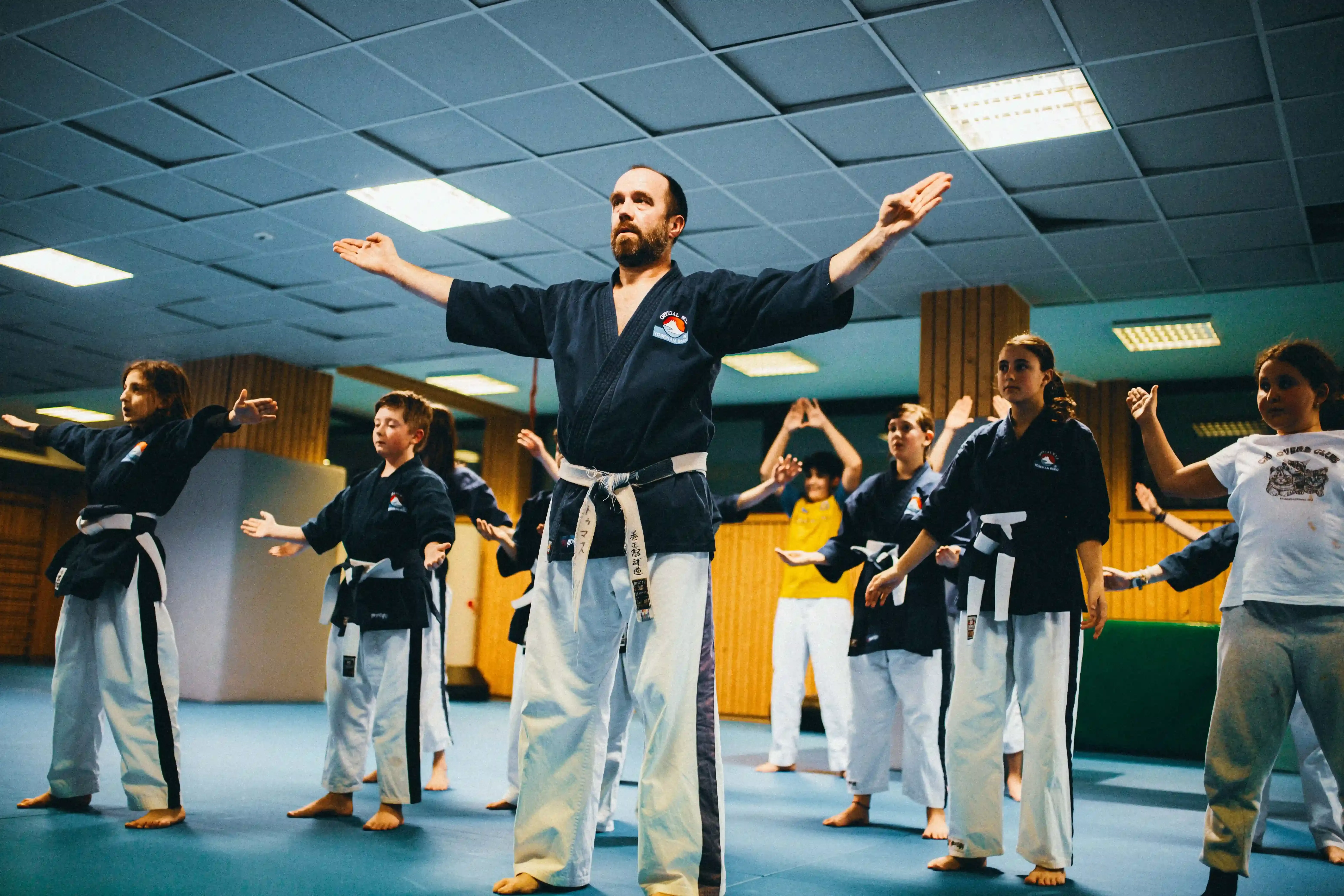 Yoseikan Budo